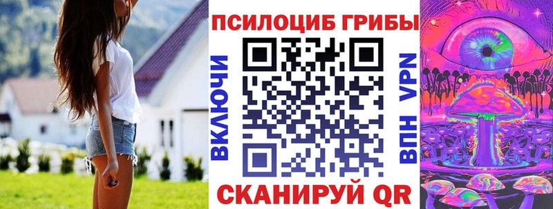 маркетплейс официальный сайт Лагань Псилоцибиновые грибы прущие грибы